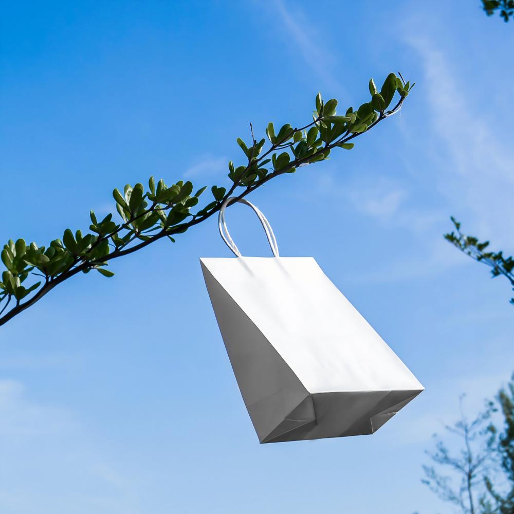 1755596629594009.jpg LEE05170(1)